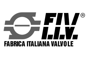 F.I.V. Fabbrica Italiana Valvole